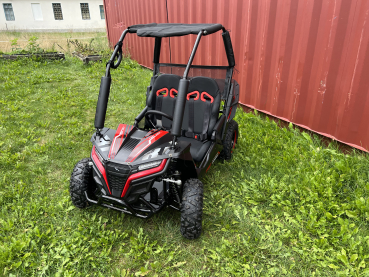 Buggy Ceetah Mini 163 ccm OHC 4 Takt Motor 2 Sitzer